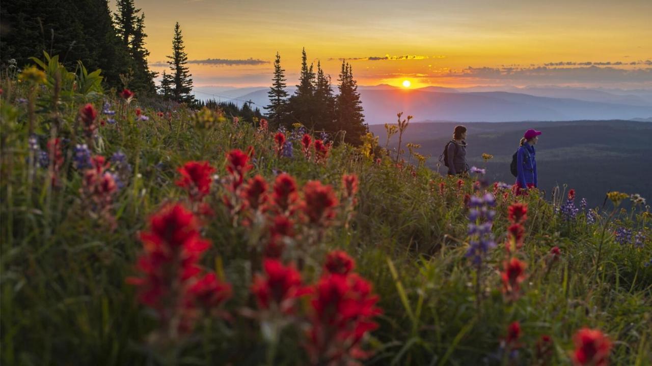 Timberline Village #14 By Bear Country Sun Peaks Εξωτερικό φωτογραφία